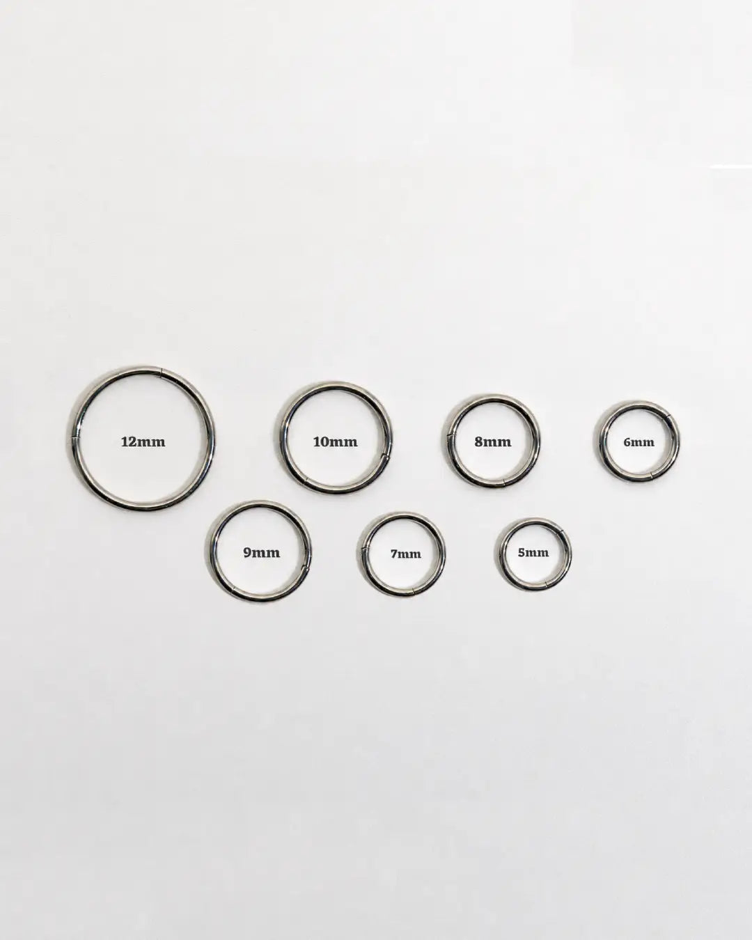 Kaori Basic Segment Ring 18G ASTM F136 Titanium